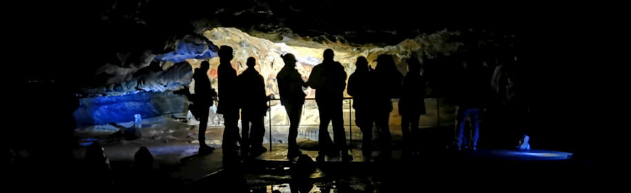 Choisissez votre visite