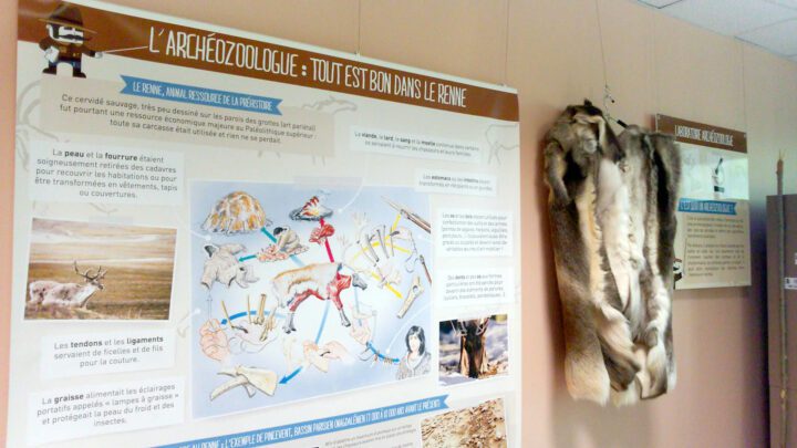 Laboratoire de l’archéozoologue © N. Ferrer