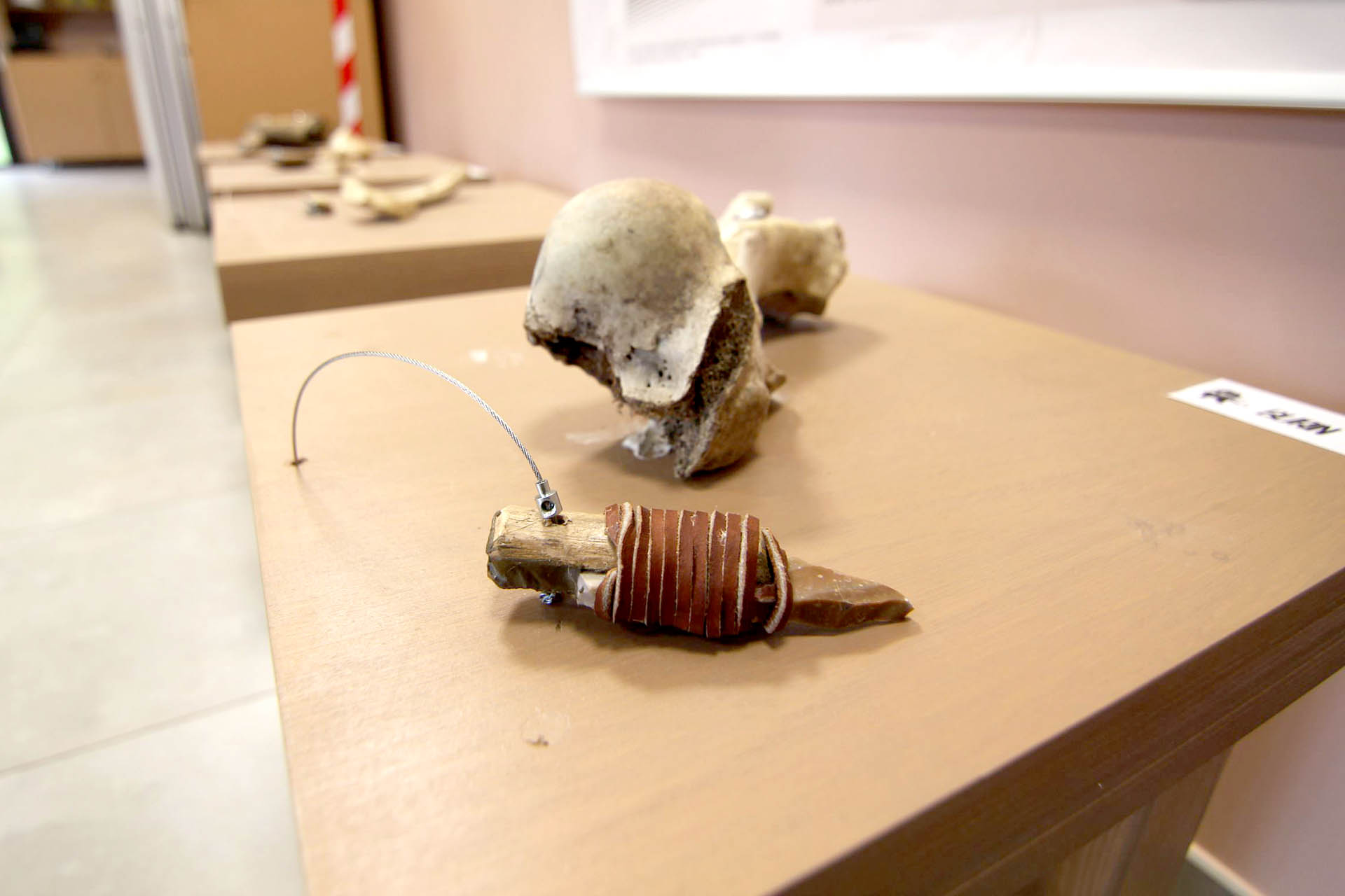 Laboratoire du spécialiste des outils © S. Dasque