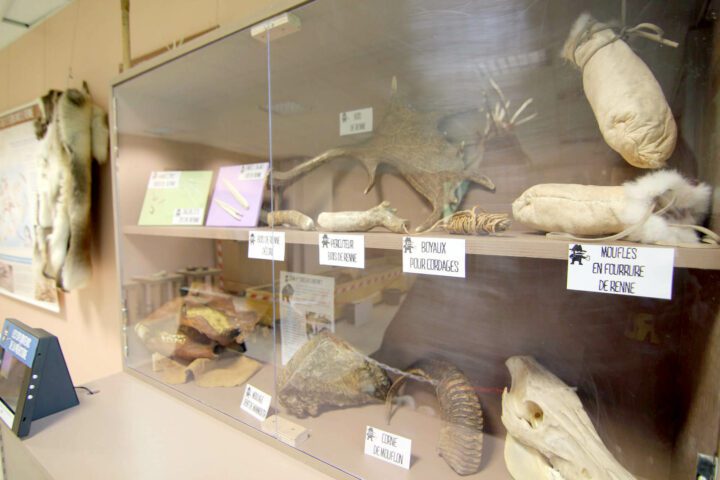 Laboratoire de l’archéozoologue © S. Dasque