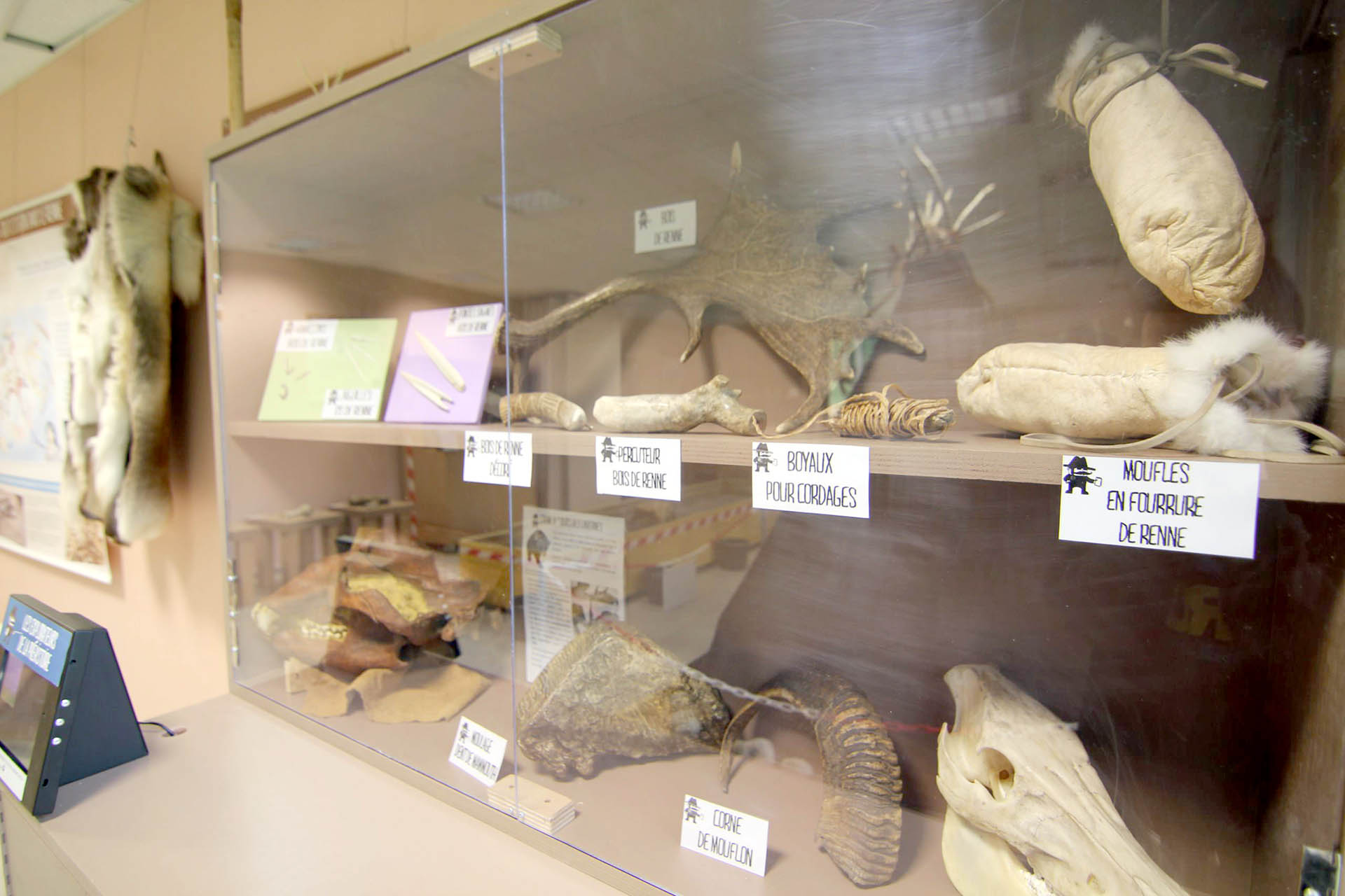 Laboratoire de l’archéozoologue © S. Dasque